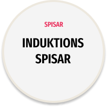 Induktionsspisar